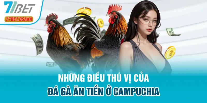 Những điều thú vị của đá gà ăn tiền ở Campuchia